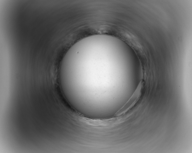 X0000094770030200711301535