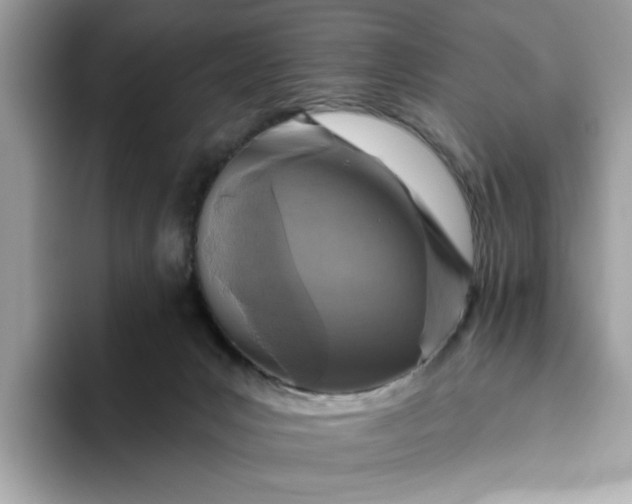 X0000094770031200711301535