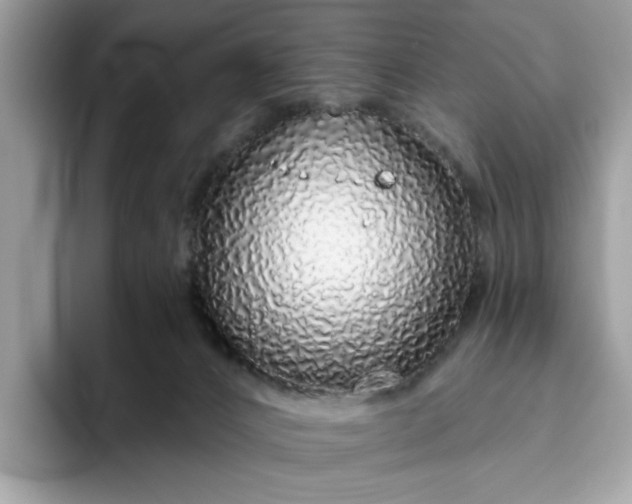 X0000094770032200711301535