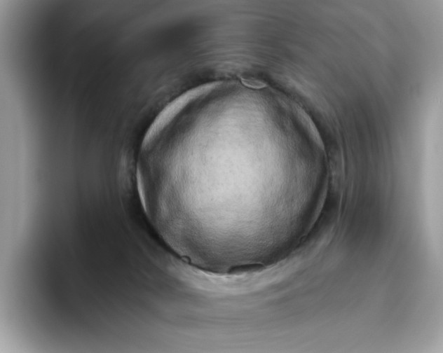 X0000094770038200711301535