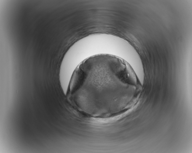 X0000094770045200711301535