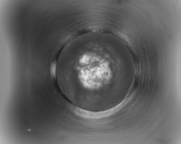 X0000094770047200711301535