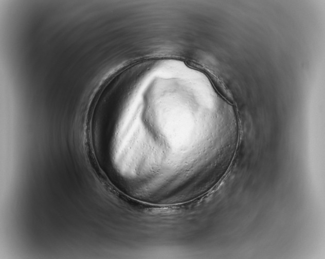 X0000094770050200711301534