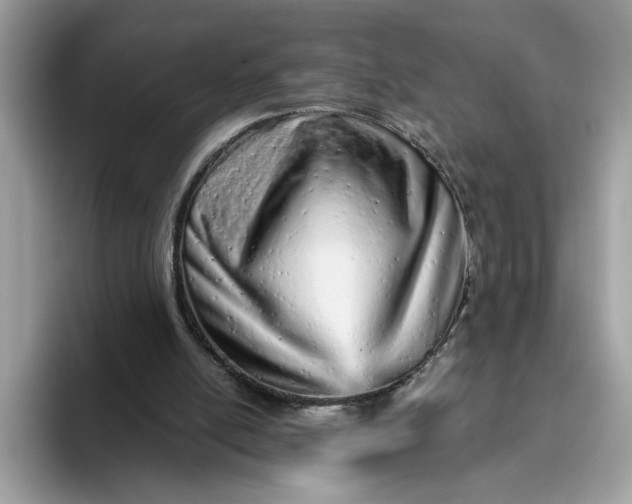 X0000094770054200711301534