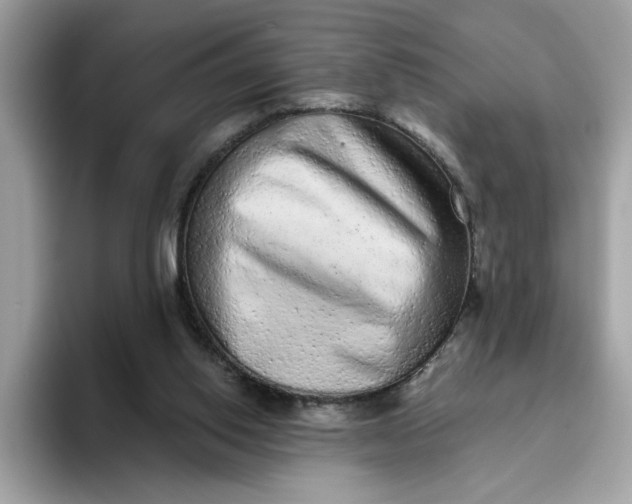 X0000094770062200711301534