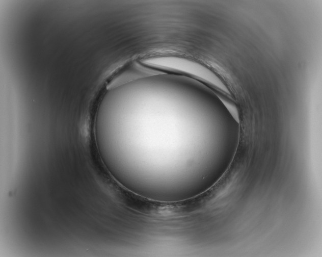 X0000094770064200711301534