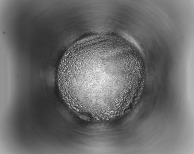 X0000094770065200711301534