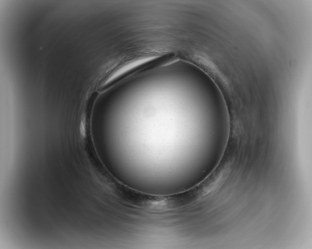 X0000094770068200711301534