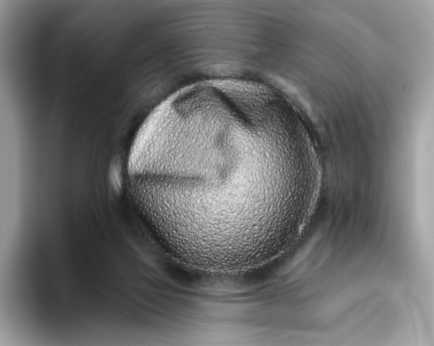 X0000094770069200711301534