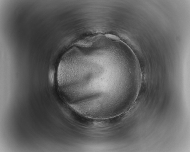 X0000094770070200711301534