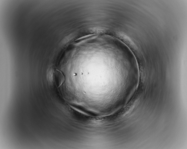 X0000094770071200711301534