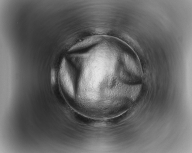 X0000094770075200711301534