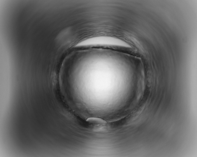 X0000094770077200711301534