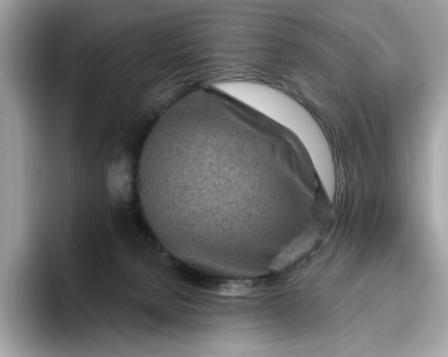 X0000094770080200711301534