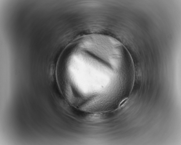 X0000094770082200711301534