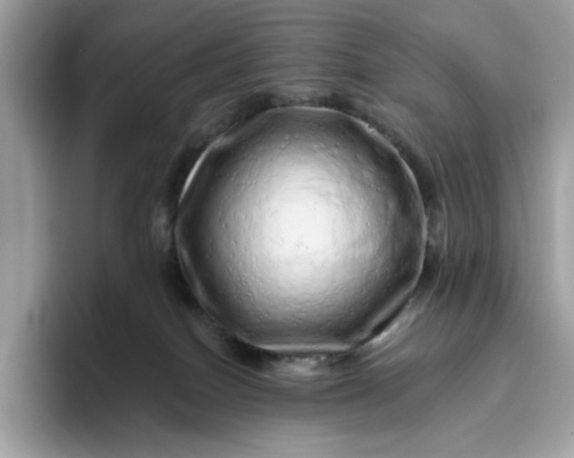 X0000094770086200711301534