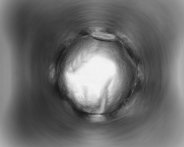 X0000094770087200711301535