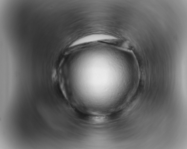 X0000094770089200711301535