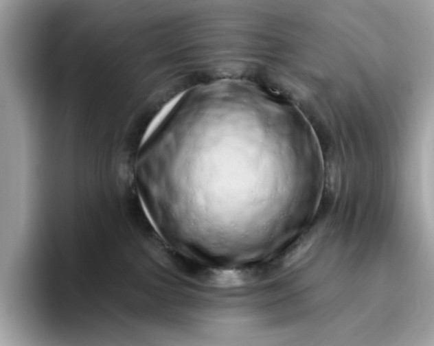 X0000094770091200711301535