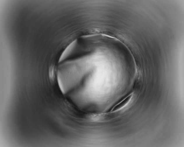 X0000094770094200711301535