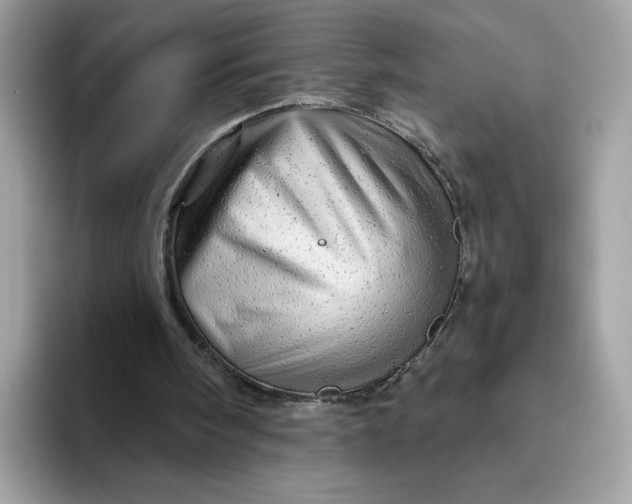 X0000094770098200711301534