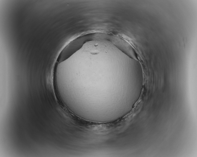 X0000094770100200711301534