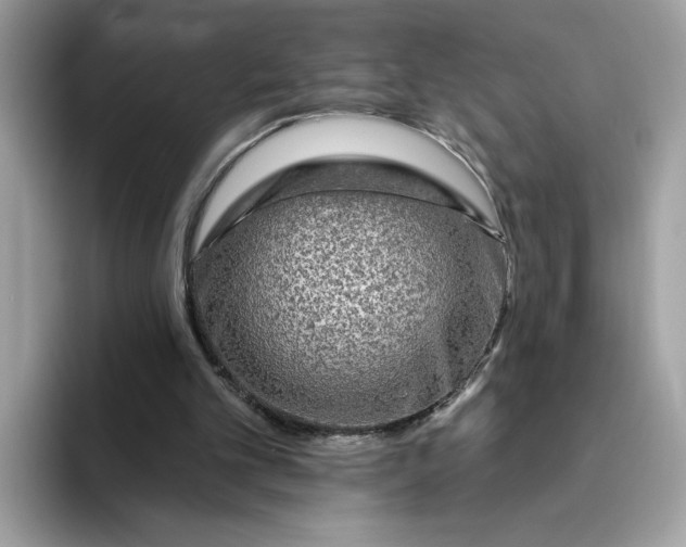 X0000094770101200711301534