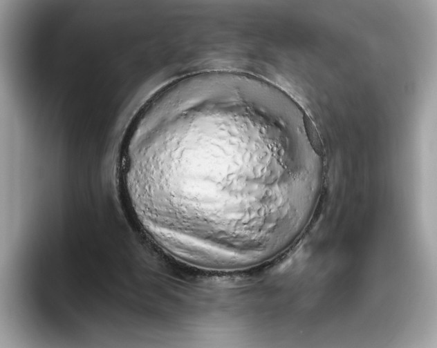 X0000094770103200711301534