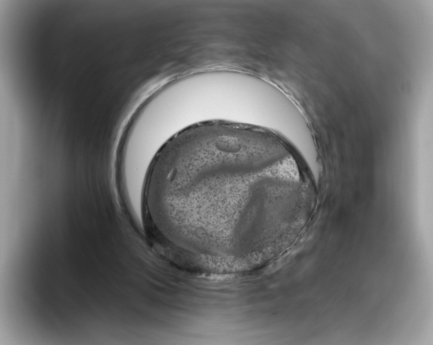 X0000094770104200711301534