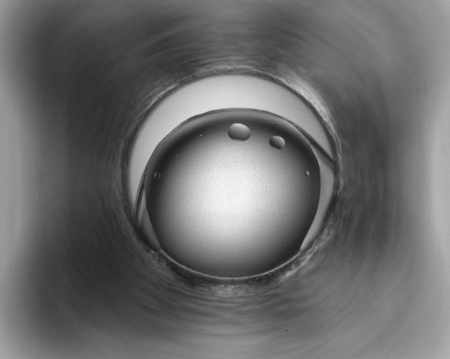 X0000094770105200711301534