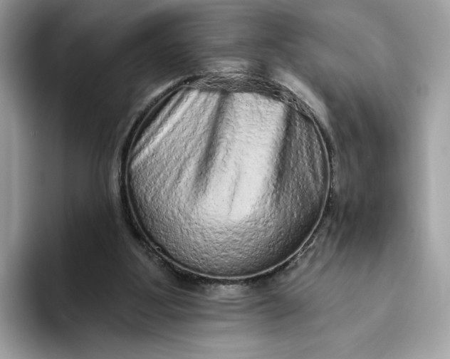 X0000094770107200711301534