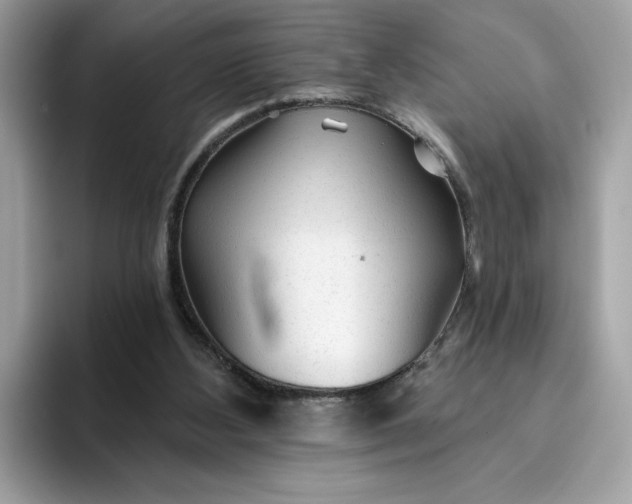 X0000094770108200711301534