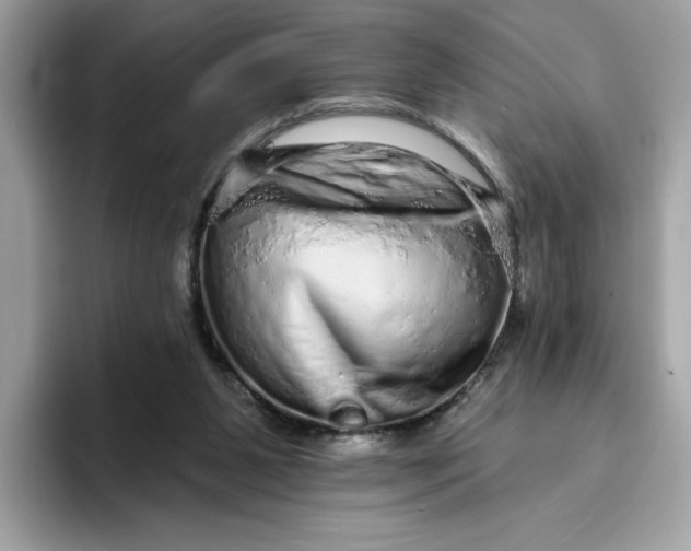 X0000094770111200711301534