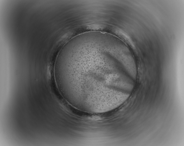 X0000094770114200711301534