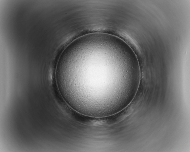 X0000094770115200711301534