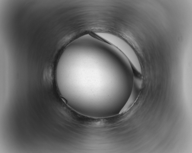 X0000094770116200711301534