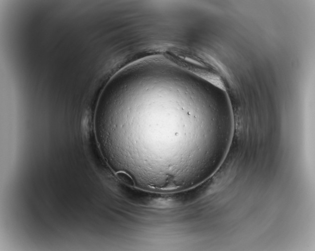 X0000094770119200711301534