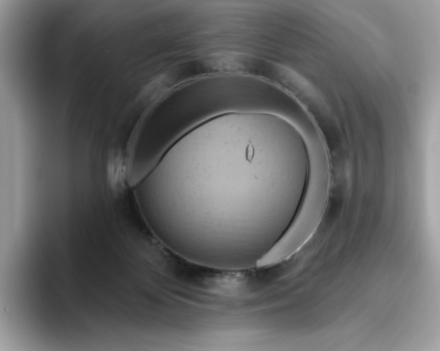 X0000094770124200711301534