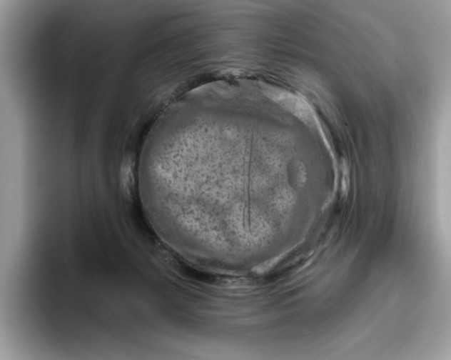 X0000094770127200711301534