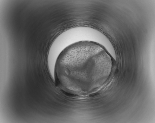 X0000094770128200711301534