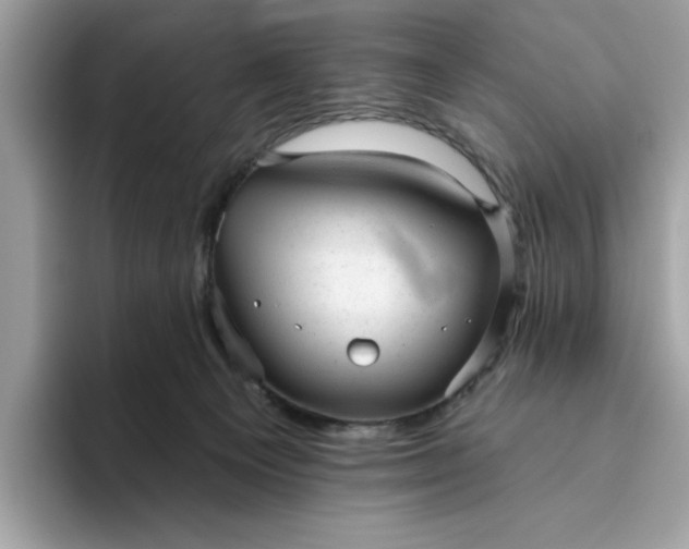 X0000094770129200711301534