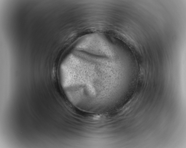 X0000094770130200711301534