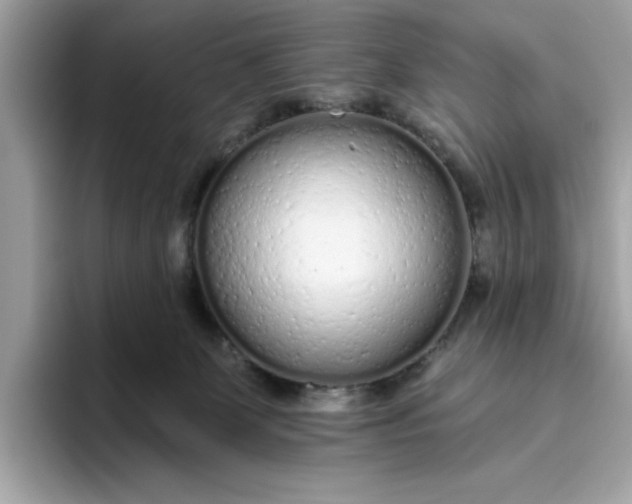 X0000094770131200711301534