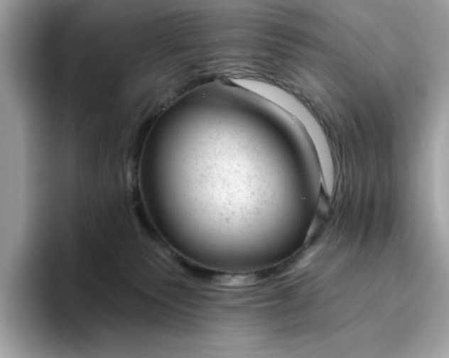 X0000094770135200711301533