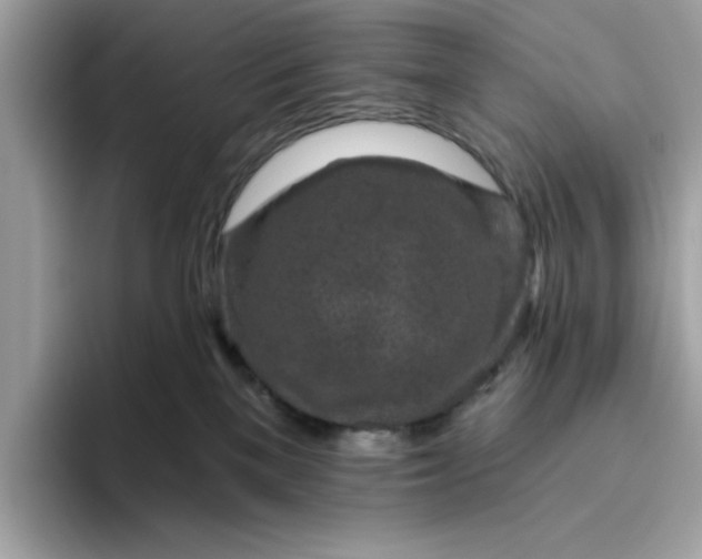 X0000094770137200711301533