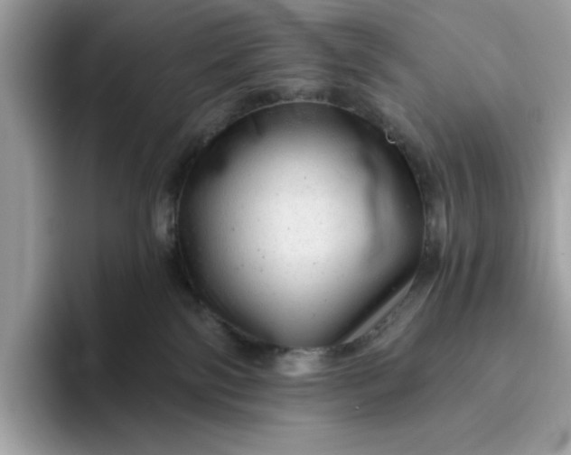 X0000094770138200711301533