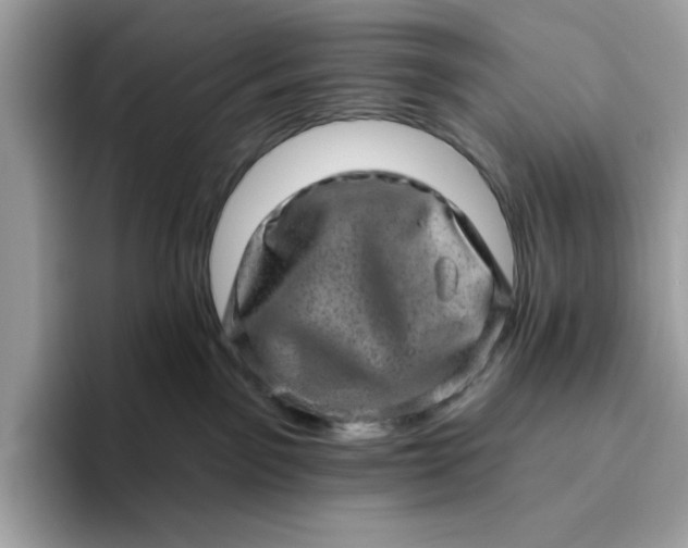 X0000094770141200711301533