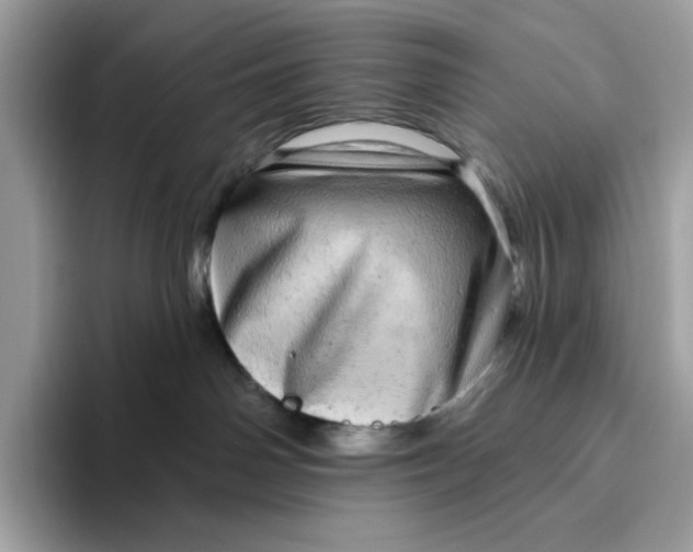 X0000094770142200711301533