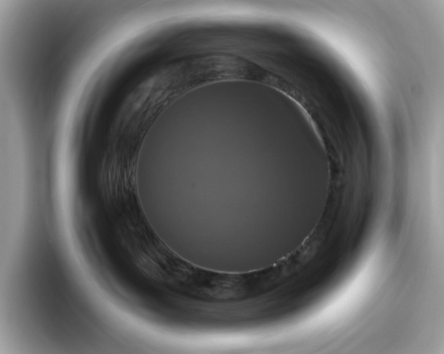 X0000094770143200711301533