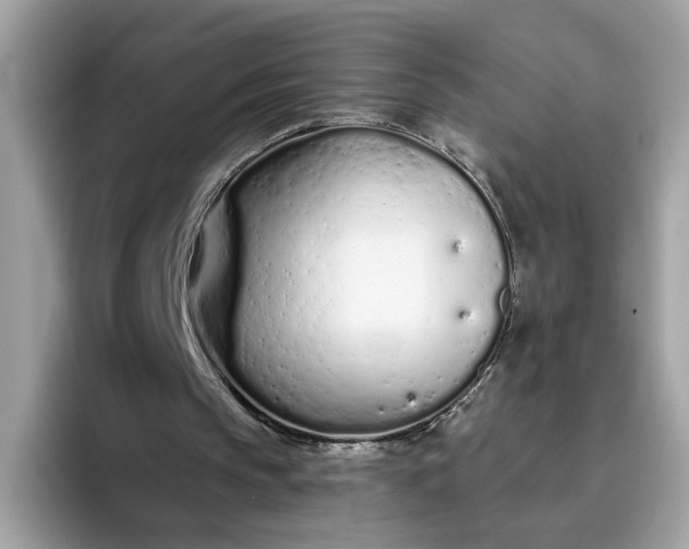 X0000094770145200711301533